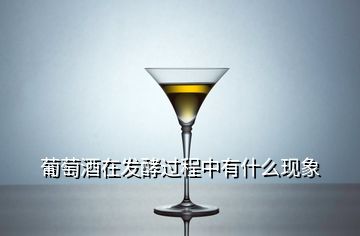 葡萄酒在發(fā)酵過程中有什么現象