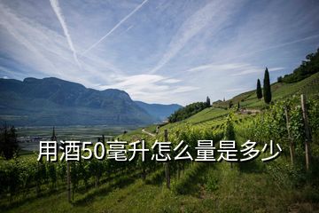 用酒50毫升怎么量是多少