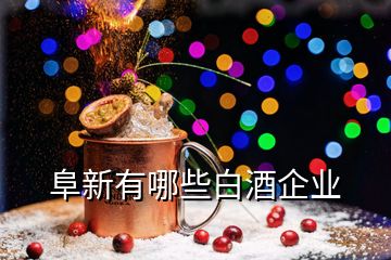 阜新有哪些白酒企業(yè)