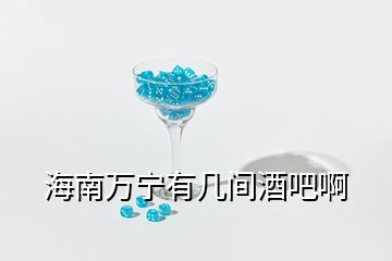 海南萬(wàn)寧有幾間酒吧啊