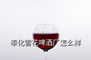 奉化雪花啤酒廠怎么樣