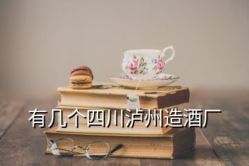 有幾個四川瀘州造酒廠