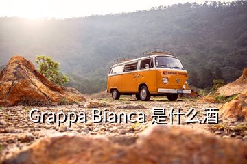 Grappa Bianca 是什么酒