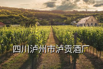 四川瀘州市瀘貢酒廠