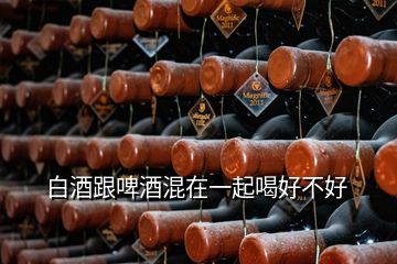 白酒跟啤酒混在一起喝好不好