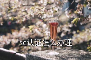 sc認(rèn)證怎么辦理