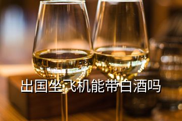 出國坐飛機(jī)能帶白酒嗎