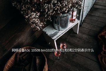 網(wǎng)絡(luò)設(shè)備h3c 10508 ten102的ten和1和0和2分別表示什么