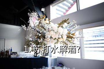 1. 蘇打水解酒?