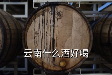 云南什么酒好喝