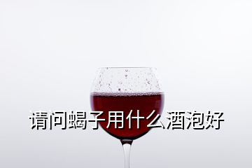 請(qǐng)問(wèn)蝎子用什么酒泡好