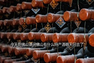 今天到佛山請問佛山有什么特產(chǎn)酒明天回去了