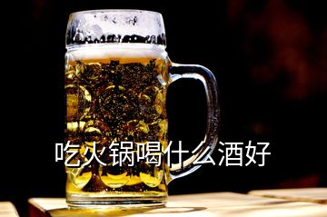 吃火鍋喝什么酒好