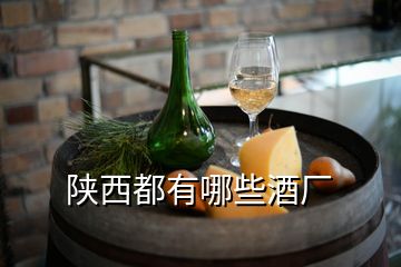 陜西都有哪些酒廠