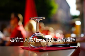 酒精在人體幾天可以完全揮發(fā)掉