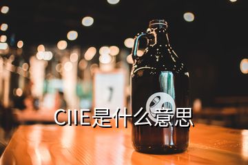 CIIE是什么意思