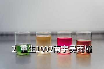 2. 重生1992南宇吳雨橦