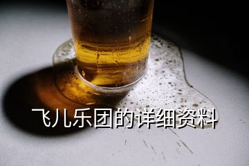 飛兒樂團的詳細資料