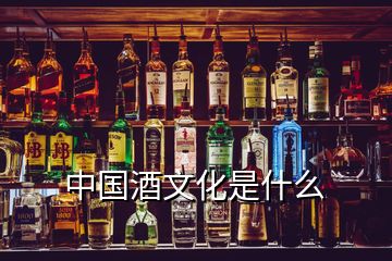 中國(guó)酒文化是什么