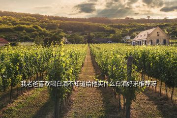 我老爸喜歡喝白酒不知道給他買什么白酒好求推薦呀