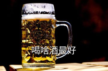 喝啥酒最好