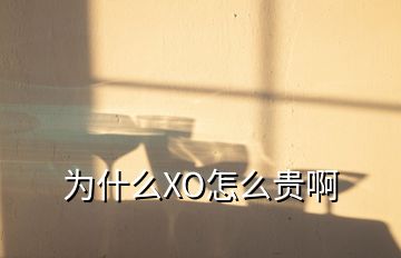 為什么XO怎么貴啊