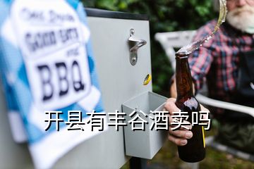 開縣有豐谷酒賣嗎