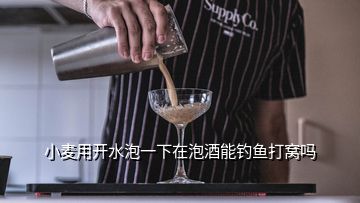 小麥用開水泡一下在泡酒能釣魚打窩嗎