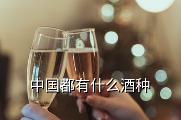 中國(guó)都有什么酒種