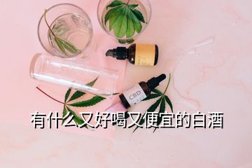 有什么又好喝又便宜的白酒