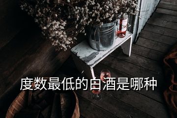 度數(shù)最低的白酒是哪種