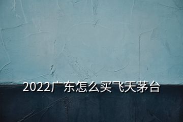 2022廣東怎么買飛天茅臺