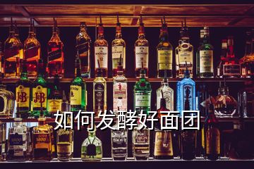 如何發(fā)酵好面團(tuán)