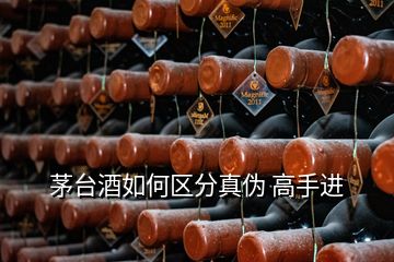 茅臺(tái)酒如何區(qū)分真?zhèn)?高手進(jìn)