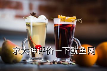 求大神評價一下魷魚網(wǎng)