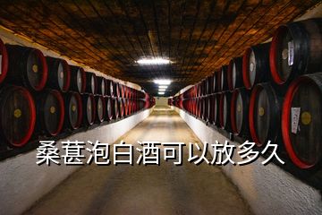 桑葚泡白酒可以放多久