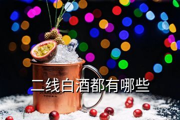 二線白酒都有哪些