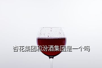 杏花集團和汾酒集團是一個嗎