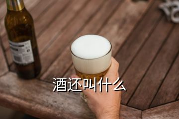 酒還叫什么