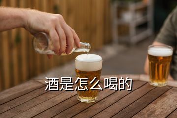 酒是怎么喝的