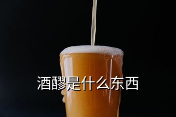 酒醪是什么東西