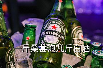 一斤桑葚泡幾斤白酒