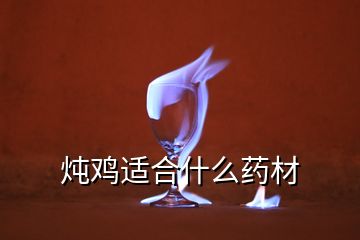 燉雞適合什么藥材