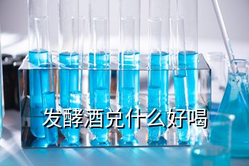 發(fā)酵酒兌什么好喝