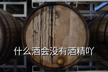 什么酒會(huì)沒(méi)有酒精吖