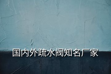 國(guó)內(nèi)外疏水閥知名廠家