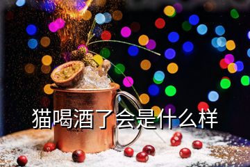 貓喝酒了會(huì)是什么樣