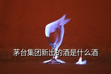 茅臺集團(tuán)新出的酒是什么酒