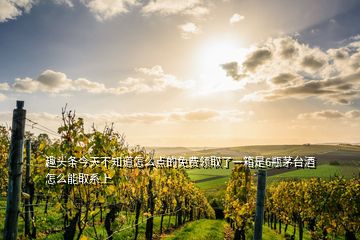 趣頭條今天不知道怎么點的免費領(lǐng)取了一箱是6瓶茅臺酒怎么能取系上