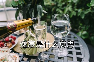 逸宸是什么意思